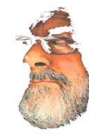 David Noel