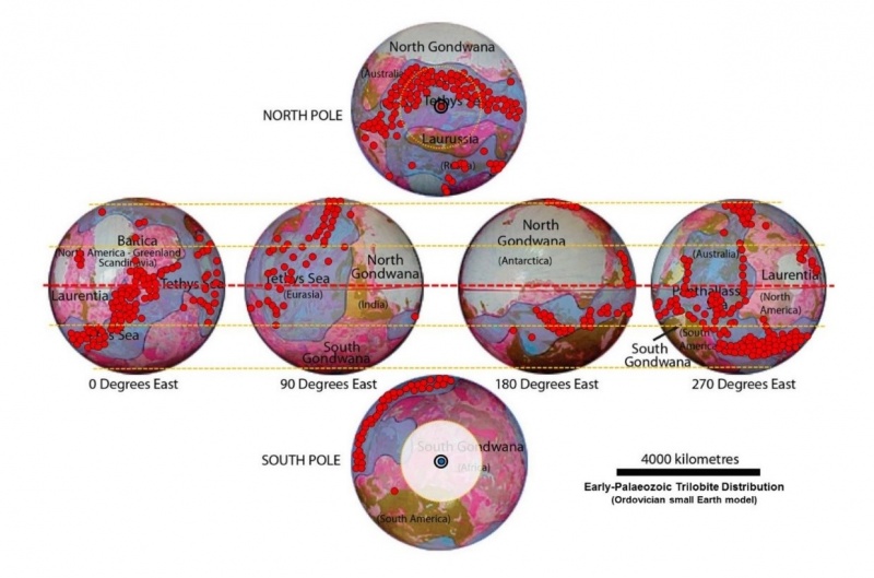 File:EarthTrilobiteDistribution.jpg