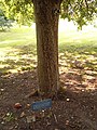 Thumbnail for version as of 09:56, 19 July 2026