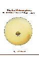 Thumbnail for version as of 14:33, 30 December 2016