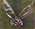 Thumbnail for version as of 09:56, 19 July 2026