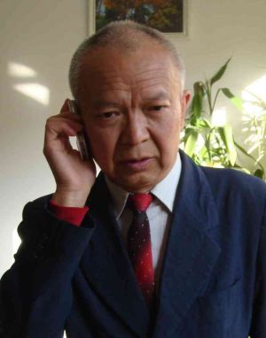 Yi-Fang Chang