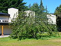 Thumbnail for version as of 09:56, 19 July 2026